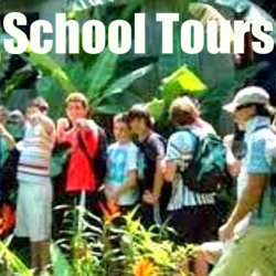 Vietnam School Tours